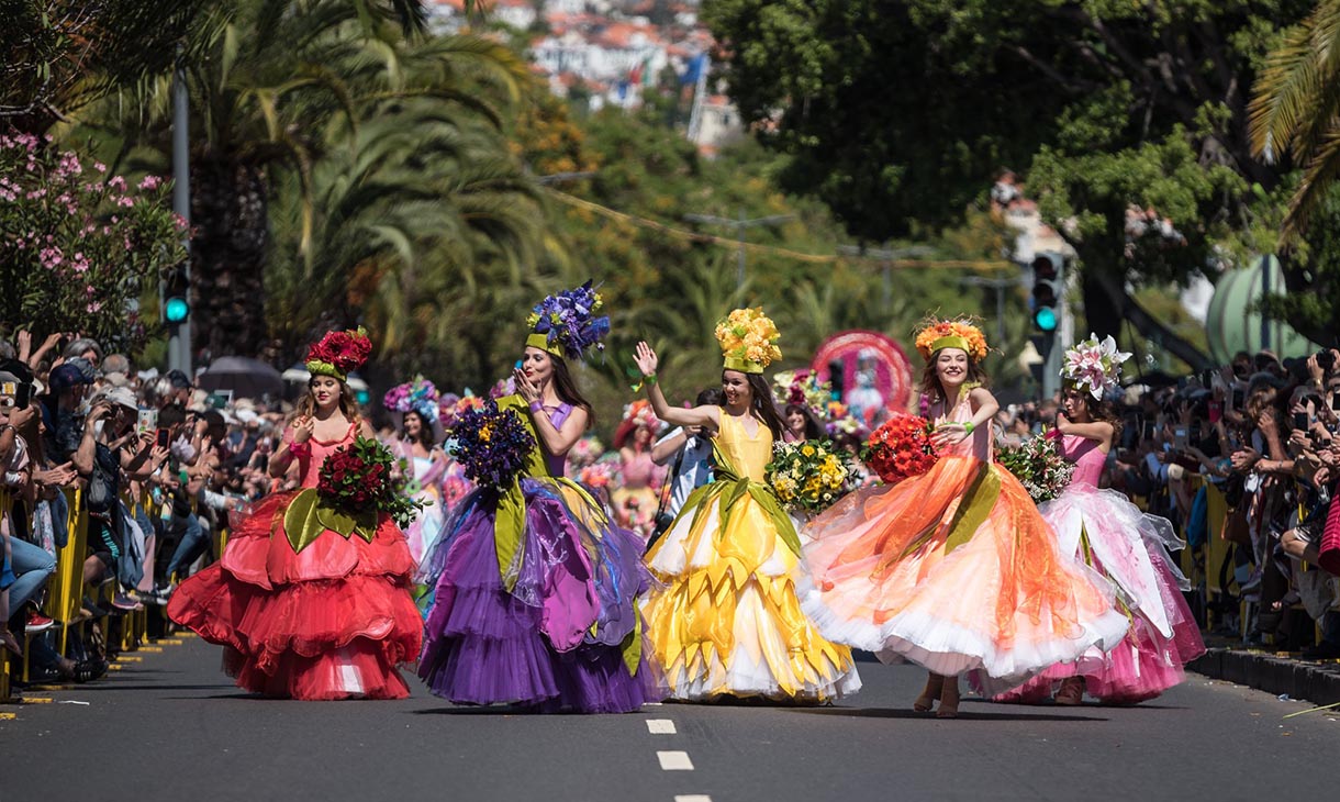 Madeira em Flor: Um Espetáculo de Cores e Alegria!