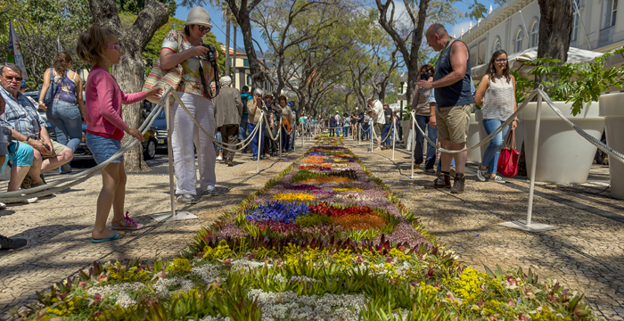 Tapetes Florais da Festa da Flor Madeira