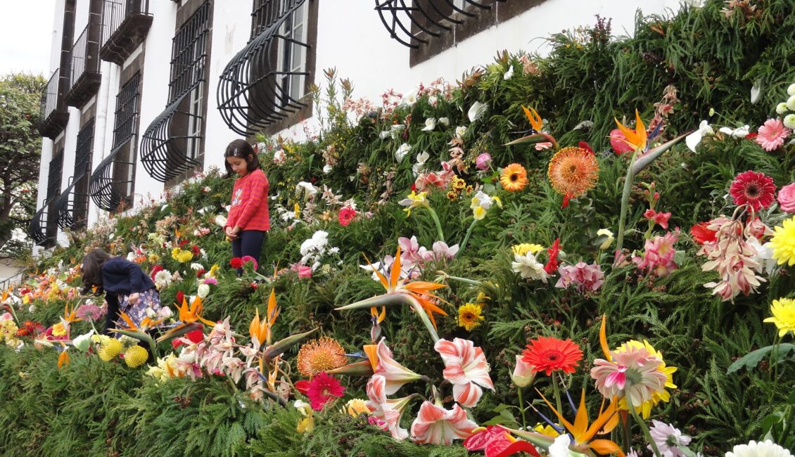 Crianças no Muro da Esperança Festa da Flor Madeira