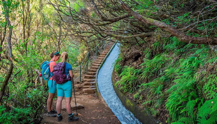 Desvende os segredos das “Levadas” da Ilha da Madeira e Explore mais com a AkiRent
